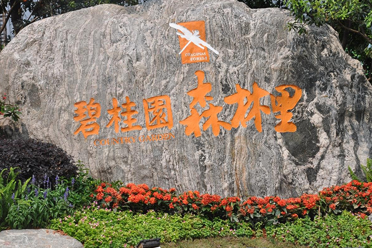 东莞大岭山碧桂园·森林里